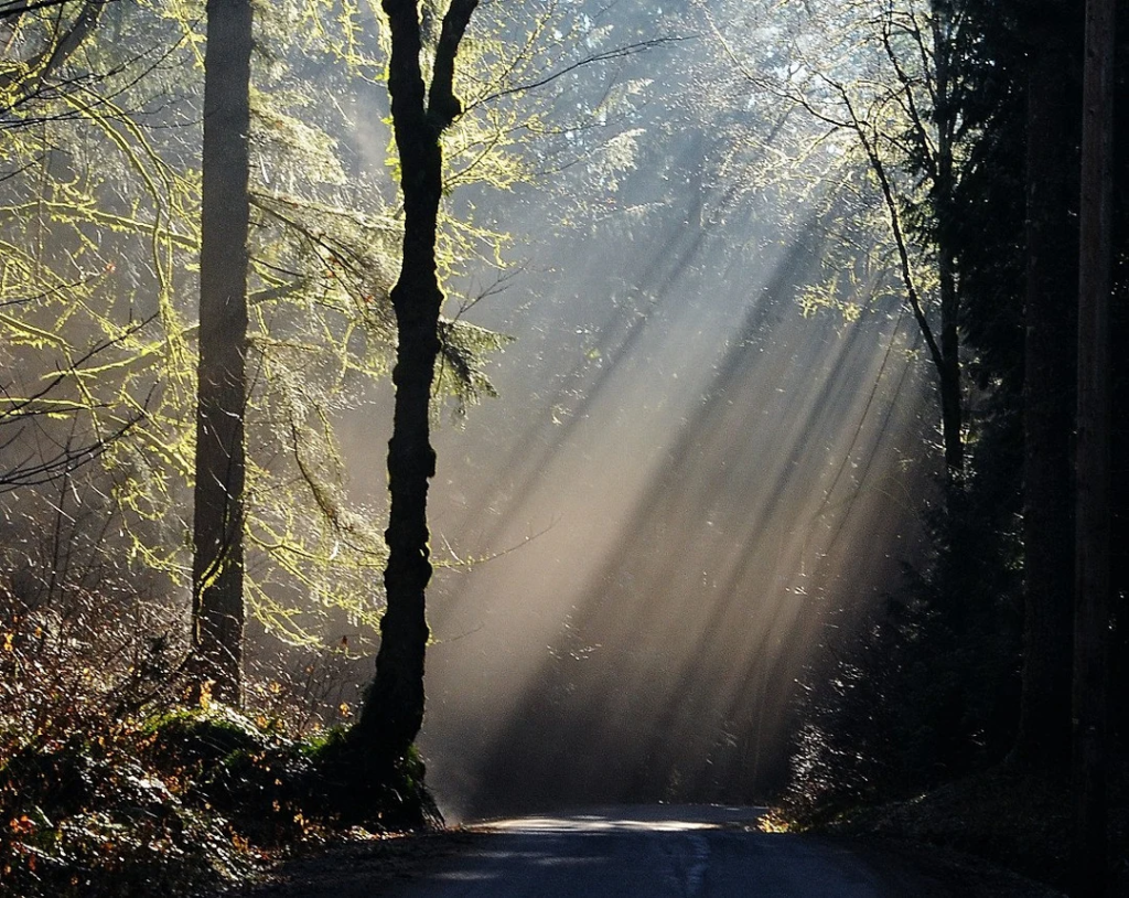 A calm spiritual sanctuary representing intentional spiritual growth, mindfulness, and inner awareness.