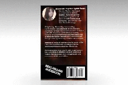 commanding the spirits withing twirling book cover